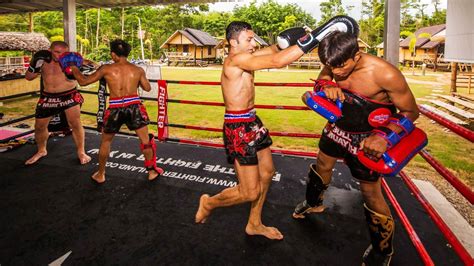 Muay Thai Boxing Camp In Thailand And Online Education