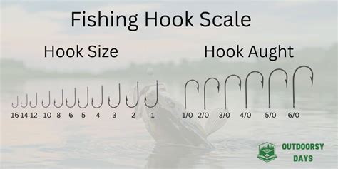 Fishing Hook Sizes And Types Explained Backed With Charts Outdoorsy