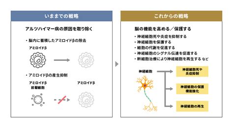 【公式サイト限定】 素直になれない恋人たち 4th season 橘聖人ブロマイドセット. ゲノム医療はアルツハイマー病の検査・治療の光明となり得る ...