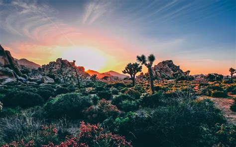 Joshua Tree National Park United States Sunset Wallpaper Hd