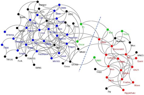 Community Detection In Complex Networks Via Clique Conductance