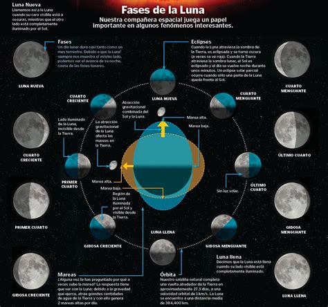 Las 8 Fases De La Luna Y Sus Características
