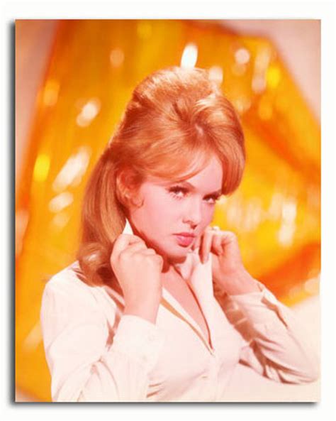 Ss3432364 Movie Picture Of Joey Heatherton Buy Celebrity Photos And