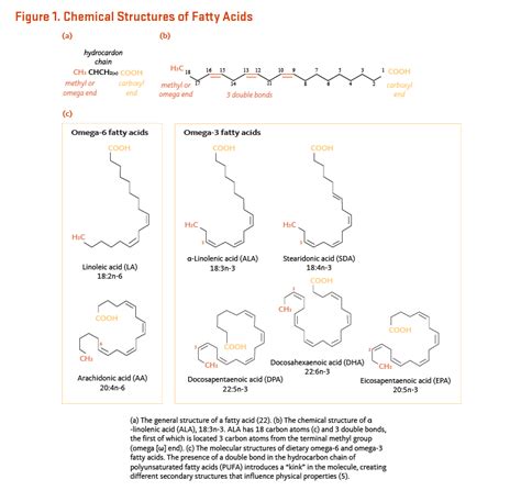 Essential Fatty Acids Linus Pauling Institute Oregon State University