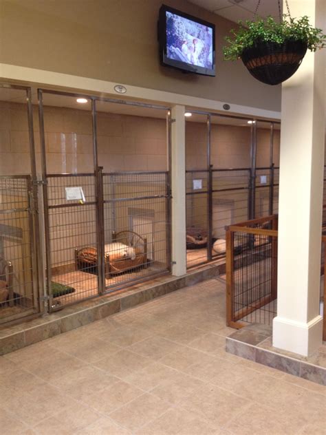 Indoor Dog Breeding Kennel Ideas