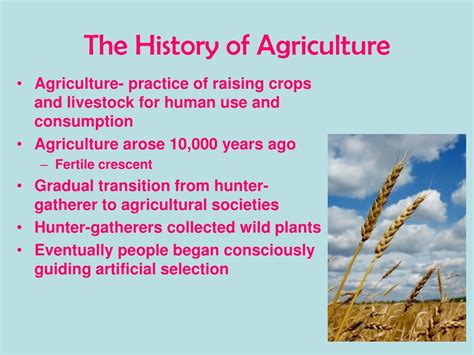 Ppt Agriculture Powerpoint Presentation Free Download Id3110602