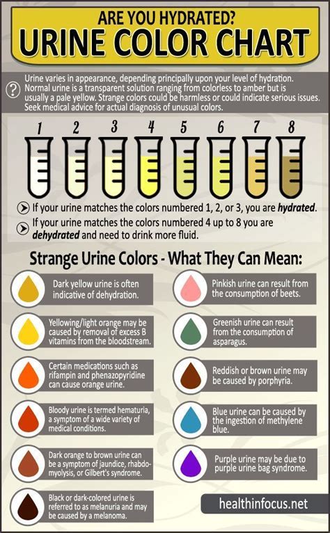 Color Chart Of Urine