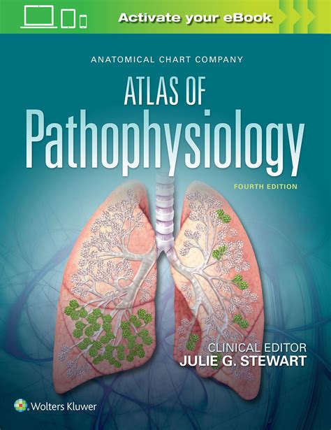 Atlas Of Pathophysiology Science Books Atlas Doctor Of Nursing Practice