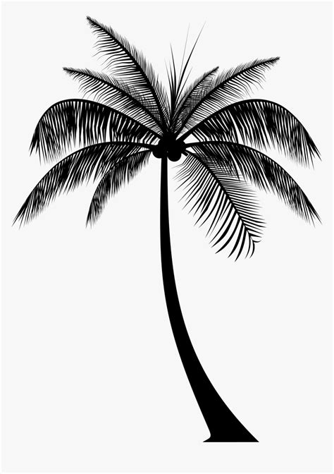Check spelling or type a new query. Transparent Palm Tree Silhouette Png - Silhouette Palm ...