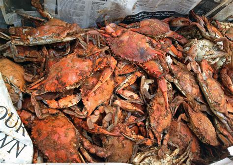 Cat became hungry blue crab. Crab Fest 8 at The Hungry Cat | Ingredient Driven
