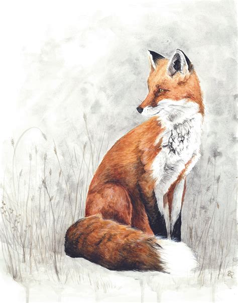 Red Fox Watercolor Painting Fox In Snow Print Wildlife Art Etsy