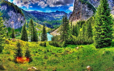 Download Hdr Tree Lake Mountain Nature Landscape Hd Wallpaper