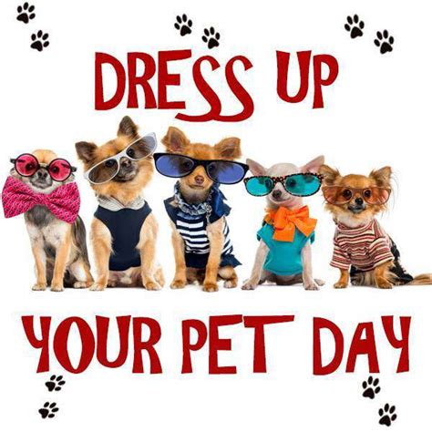 National Dress Up Your Pet Day Wishes Images Whatsapp Images