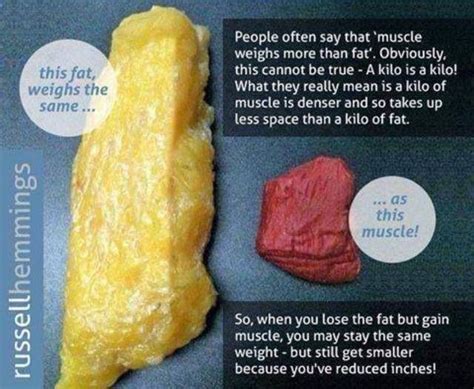 One Pound Of Fat Vs One Pound Of Muscle Fitness Motivation Pinterest