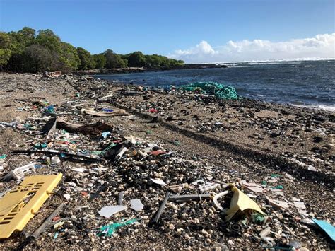 Kamilo Beach Coastline Trash Removal