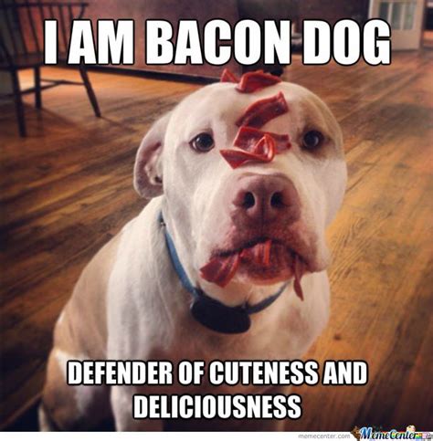 I Am Bacon Dog Defender Of Cuteness And Deliciousness Bacon Dog