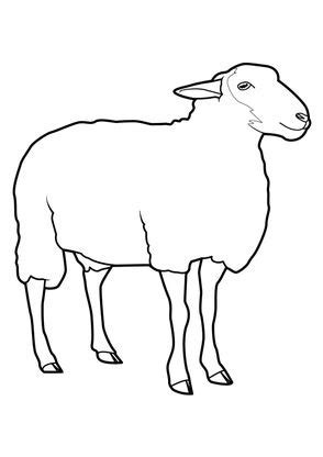 Coloriage Mouton Coloriage Moutons Coloriages Animaux