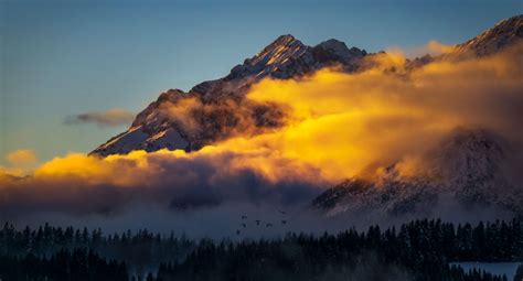 Austria Backlit Birds Clouds Dawn Daylight Dusk Evening Flying