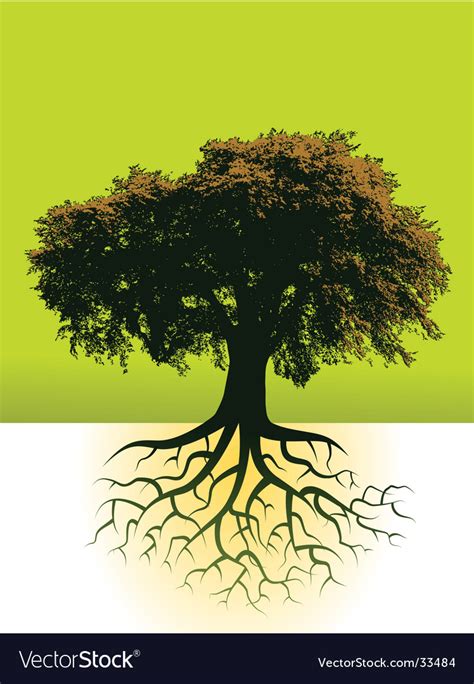 Trees Roots Royalty Free Vector Image Vectorstock