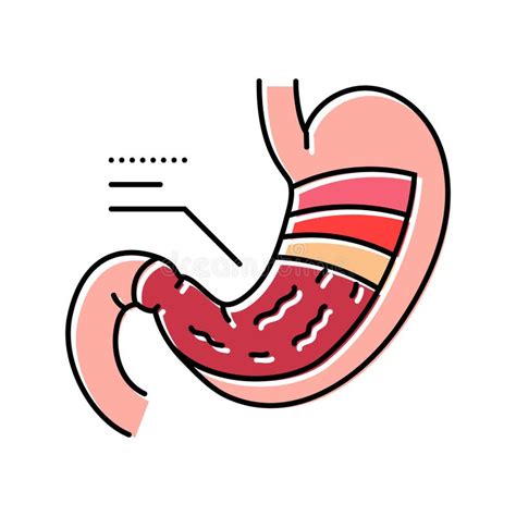 Stomach Anatomy Gastroenterologist Color Icon Vector Illustration Stock