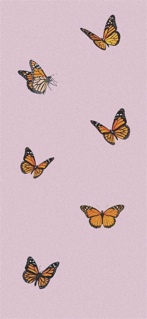 Yellow Wallpaper Aesthetic Butterfly Butterfly Aesthetic Nature