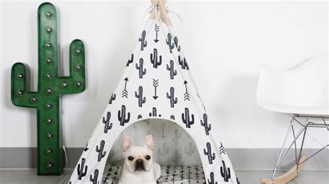 12 Absurdly Cool Dog Accessories You Deserve To Own The Dog People By
