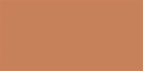 Black, bronze color, burgundy, burnt orange, carrot, color burnt umber, color of burnt sienna, colors of firework, colour combination for living room, colour combination for wall painting, colour. Paint Colors: IC25-1 Burnt Orange