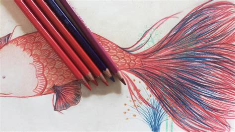 Cómo Dibujar Con Lápices De Colores 】 Paso A Paso Muy Fácil 2024