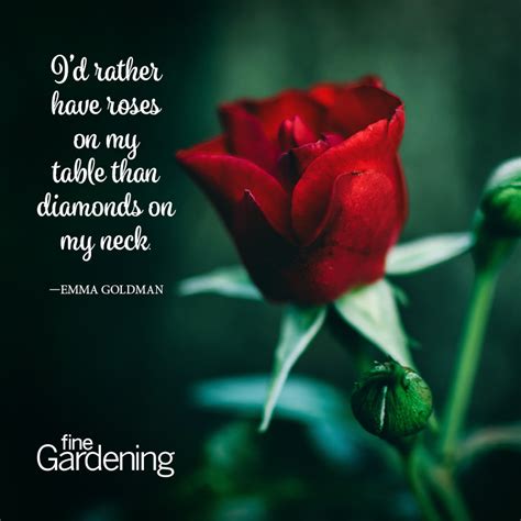 Check spelling or type a new query. Ten of the Best Spring Quotes - FineGardening