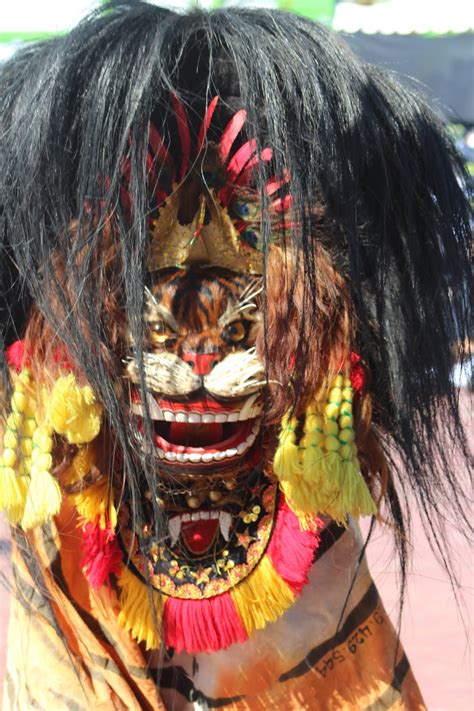 We did not find results for: Dekorasi Pernikahan Barongan