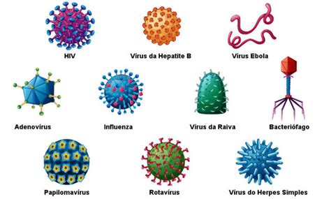 Vírus Características Estrutura Reprodução Doenças