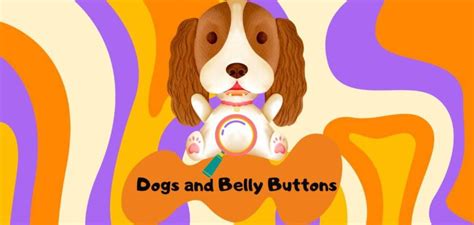 Do Dogs Have Belly Buttons Canine Anatomy Curio Petstime