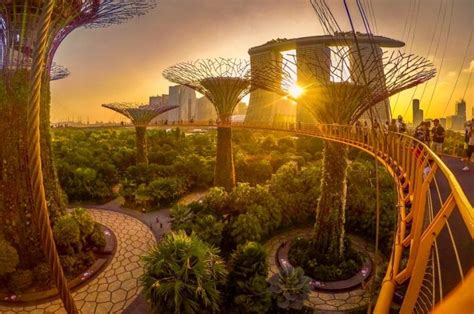 Exploring Singapore The Futuristic City In A Garden Baldhiker