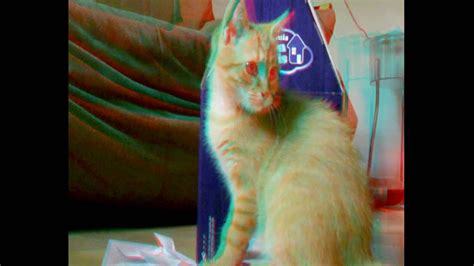 3d Anaglyph Cat Solar Movie Made With 2x Kodak Zx1needs Red