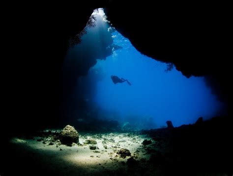 Deep Sea Diving Wallpapers Wallpaper Cave Vrogue Co