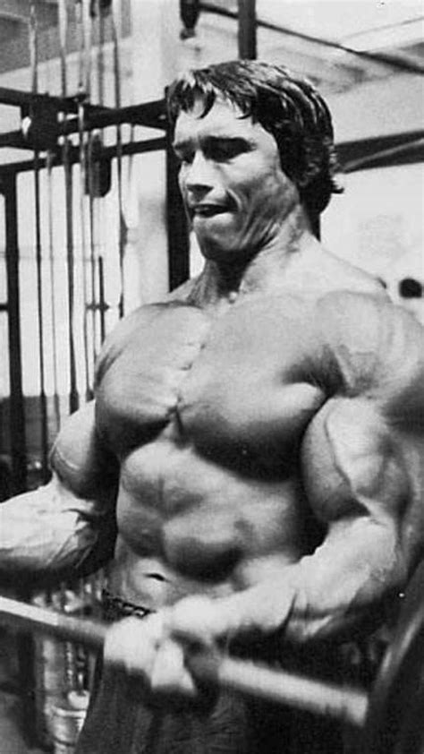 Arnold Bodybuilding Wallpaper