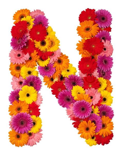 Letter N Flower Alphabet Isolated On White Background Stock Photo