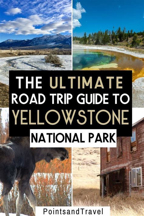 Ultimate Road Trip To Yellowstone National Park In 2020 National Parks Trip National Parks