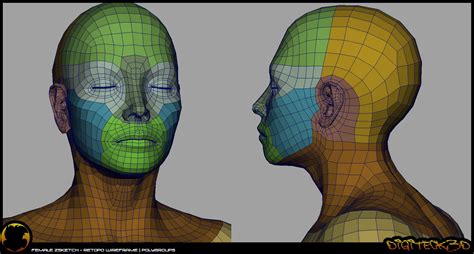 face topology female topology スケッチ トポロジー 顔