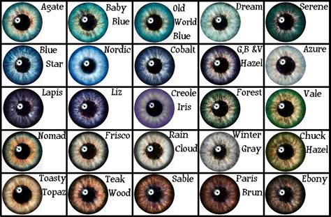 Eye Color Chart From Google Search Writing Facts Eye Color Chart