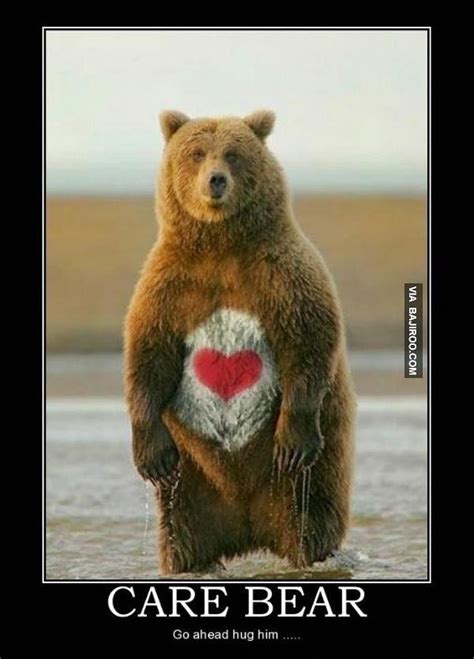 19 Best Images About Funny Bears On Pinterest Animal