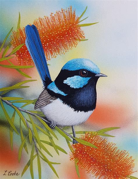 Superb Blue Wren By Lyn Cooke Paintings For Sale Bluethumb Online