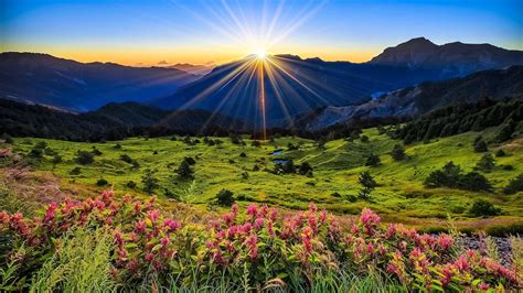 Mountains Meadow Sunrise Flowers Beautiful Scenery Wallpaper