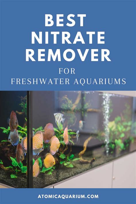 Best Nitrate Remover For Freshwater Aquariums 2022 Reviews Atomic