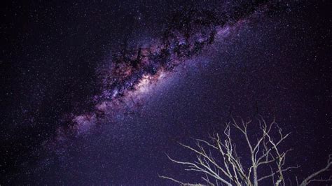 Galaxy Stars Milky Way Night Branches Hd Wallpaper