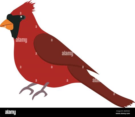Vector Illustration Of A Red Cardinal Bird Winter Christmas Bird