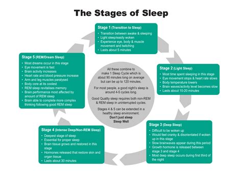 Five Stages Of Sleep Sleep Well Intelligent Bedding Systems