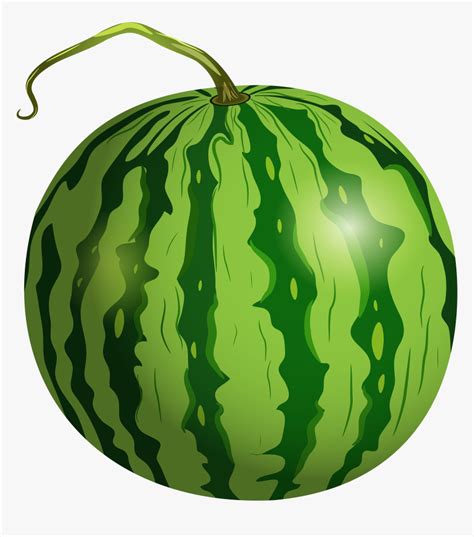 Watermelon Png Clip Art Transparent Png Kindpng