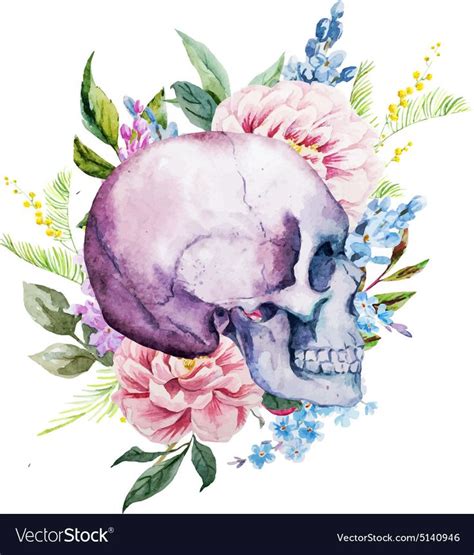 Watercolor Skull With Flowers Royalty Free Vector Image Hand