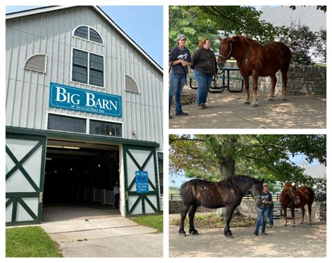 What To Expect At The Kentucky Horse Park Wherever I May Roam